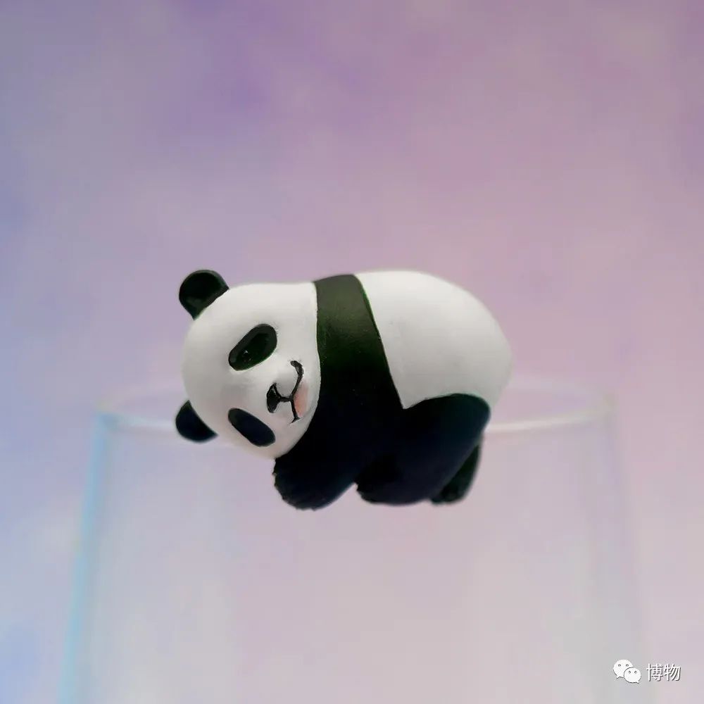 能拍彩色照片的大熊猫,大熊猫为啥不能拥有一张彩色照片