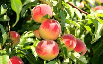 大朋友小朋友,六一去哪嗨?宜昌14家景区特惠福利来袭!