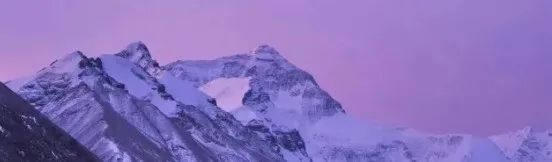 骆一禾最经典的10首诗,骆一禾诗解析