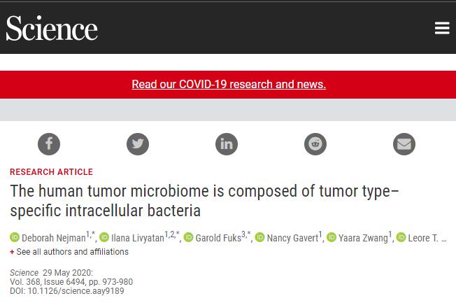 「Science」1000+肿瘤样品研究表明,潜伏在癌细胞中的细菌能为治疗癌症提供新方法
