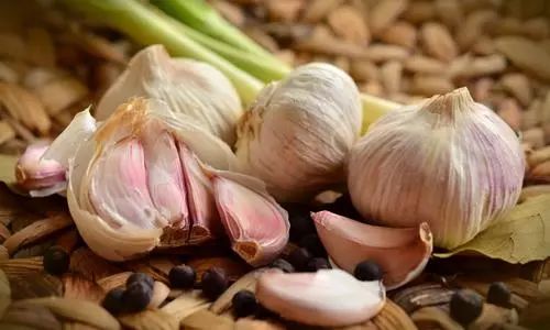 它，价钱比白菜低，价值却很高