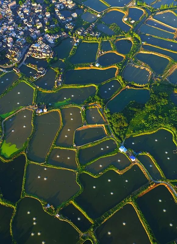 这里是广东,走进顺德