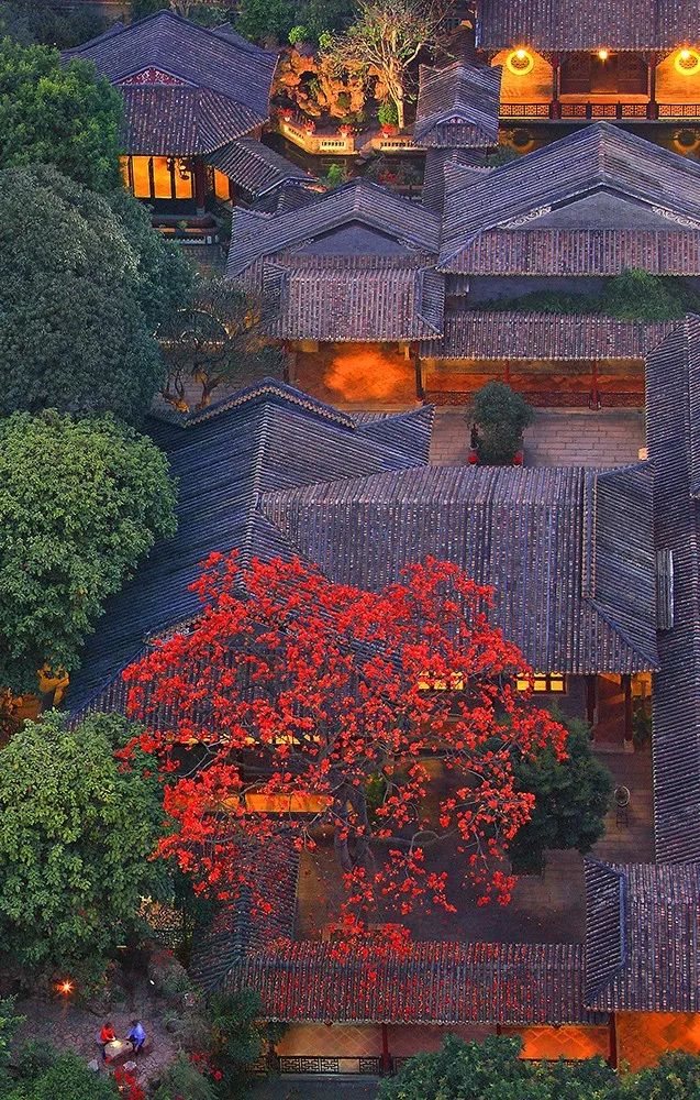 一个街道的顺德,我眼中顺德