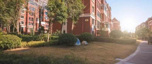 微信朋友圈四不晒,朋友圈七不晒包括什么