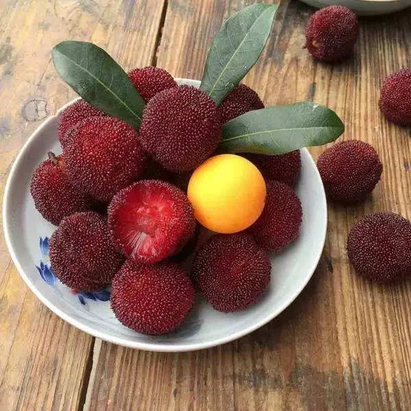 杨梅上市季放心大胆吃,杨梅有虫子吃不死人