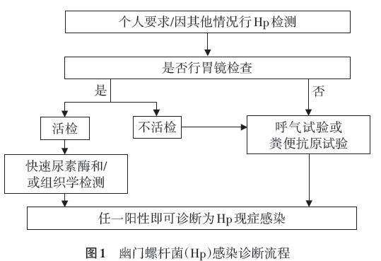 幽门螺旋杆菌治疗指南2023版,中国幽门螺杆菌感染治疗指南