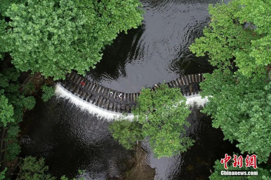 种下希望芒种,芒种忙在当下种下未来下一句