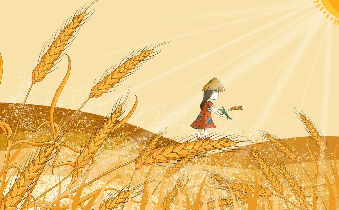 芒种至仲夏始人生丰收时,芒种至仲夏始介绍