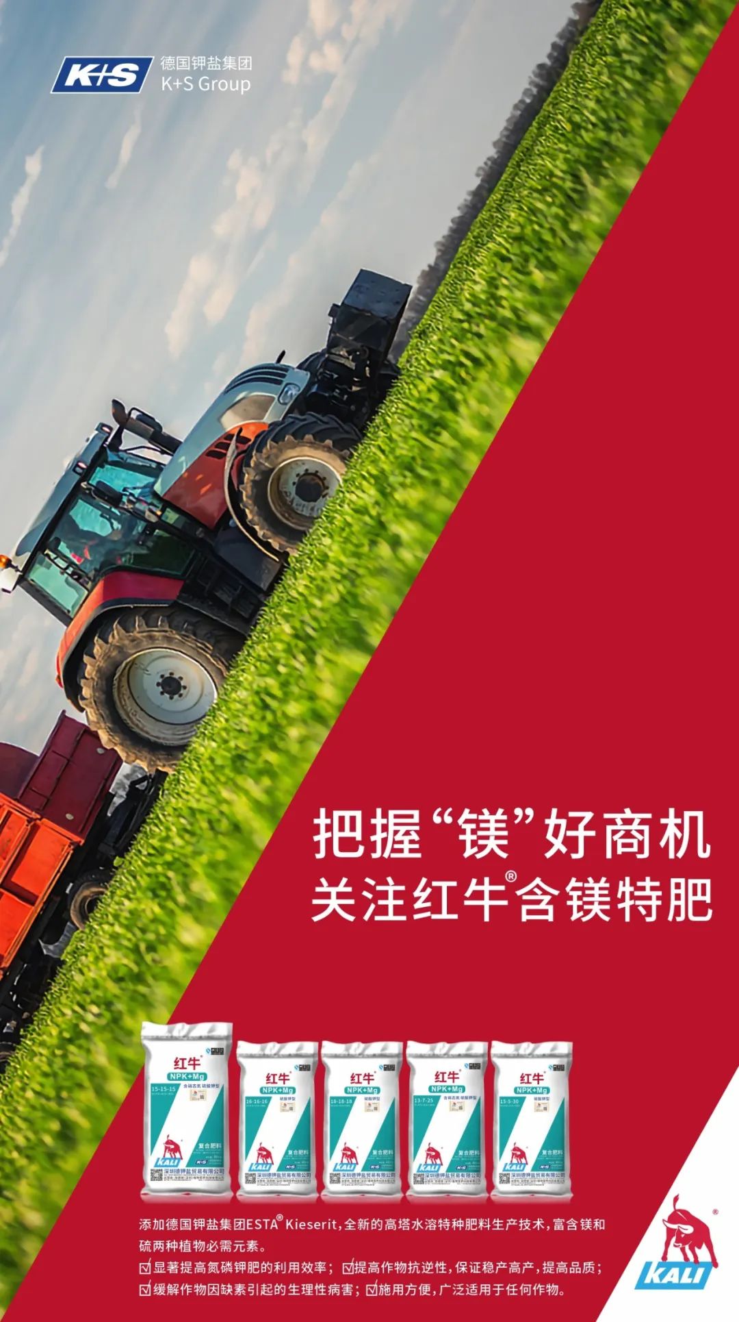 红牛含镁特种复合肥系列,最新红牛上市消息