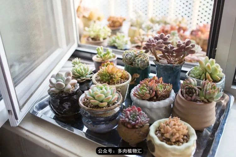 专注于自己喜欢的事情,专注于自己喜爱的事情