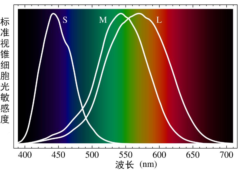 近视八百度以上的隐形眼镜,1800度近视隐形眼镜