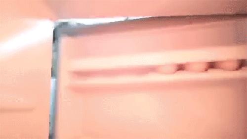 冰箱如何除菌除味,冰箱除菌就能防串味吗