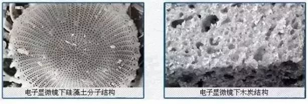 冰箱如何除菌除味,冰箱除菌就能防串味吗