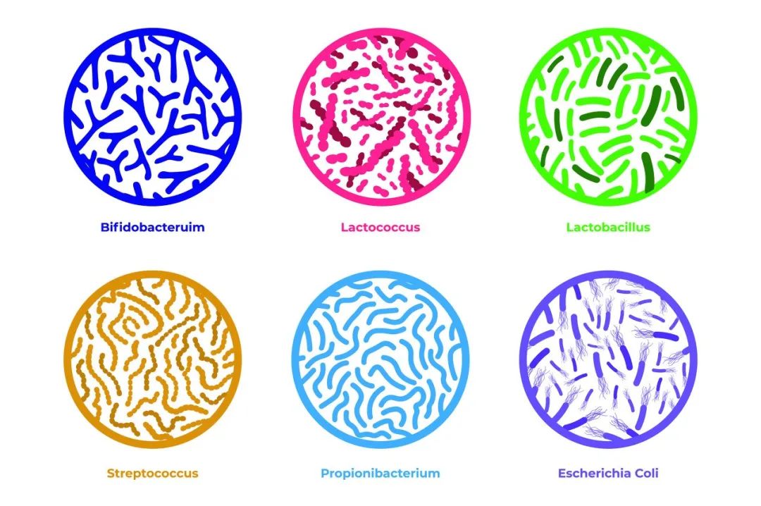 酸奶知识大全100篇,60篇酸奶知识
