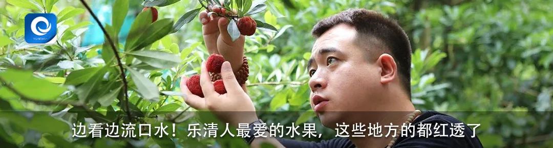 乐清博物馆,乐清室内足球馆