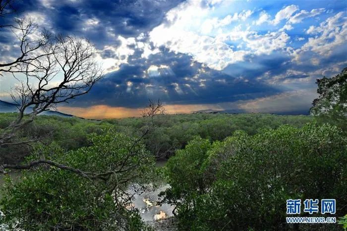 国际海洋保护日幼儿园,世界海洋日守护地球