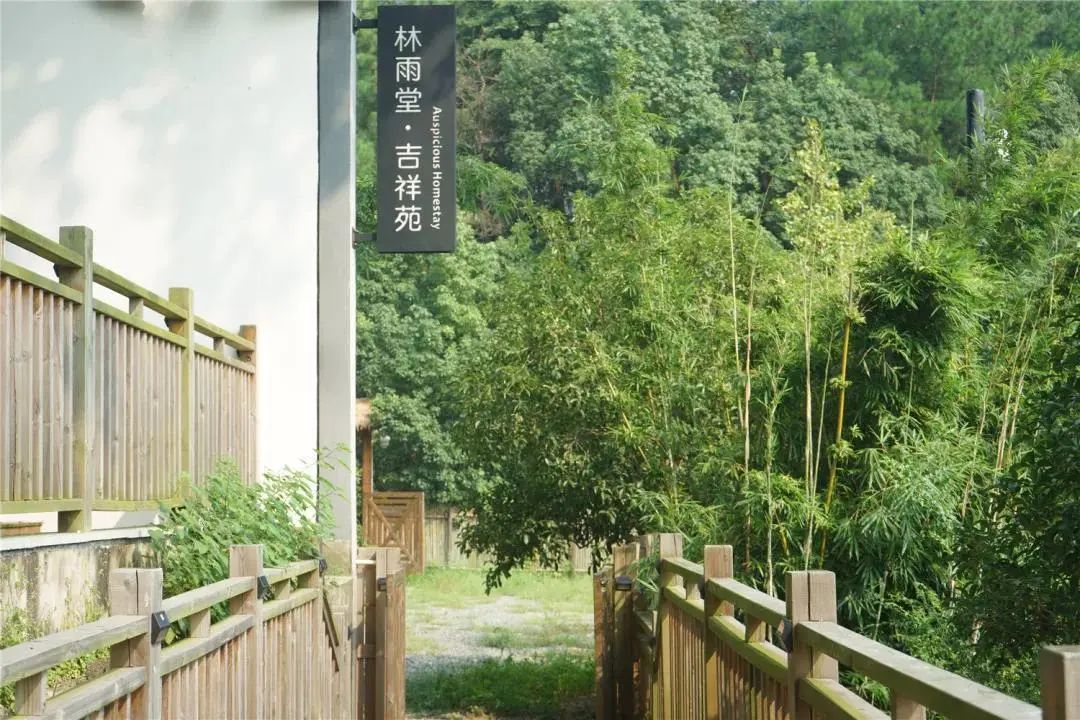 民宿招有粉丝量的试睡员,杭州民宿试睡官招募