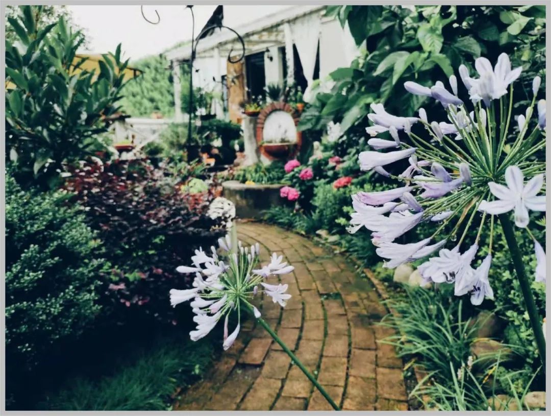 民宿招有粉丝量的试睡员,杭州民宿试睡官招募