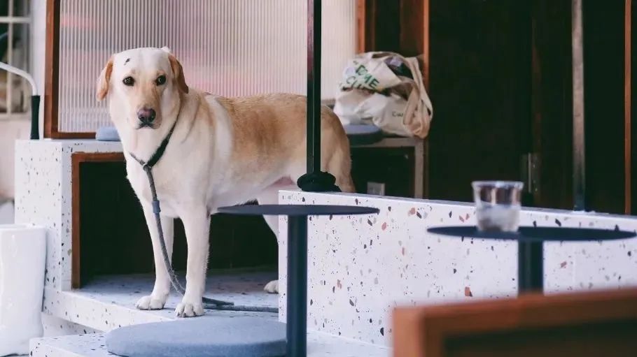 咖啡9.9元一杯,独立速溶纯黑咖啡