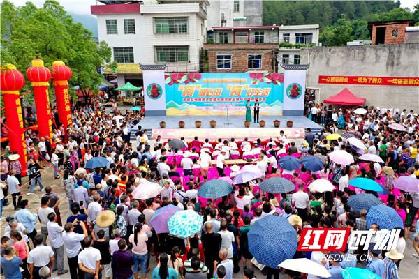 暖水镇第三届杨梅节,南乡镇第三届杨梅节