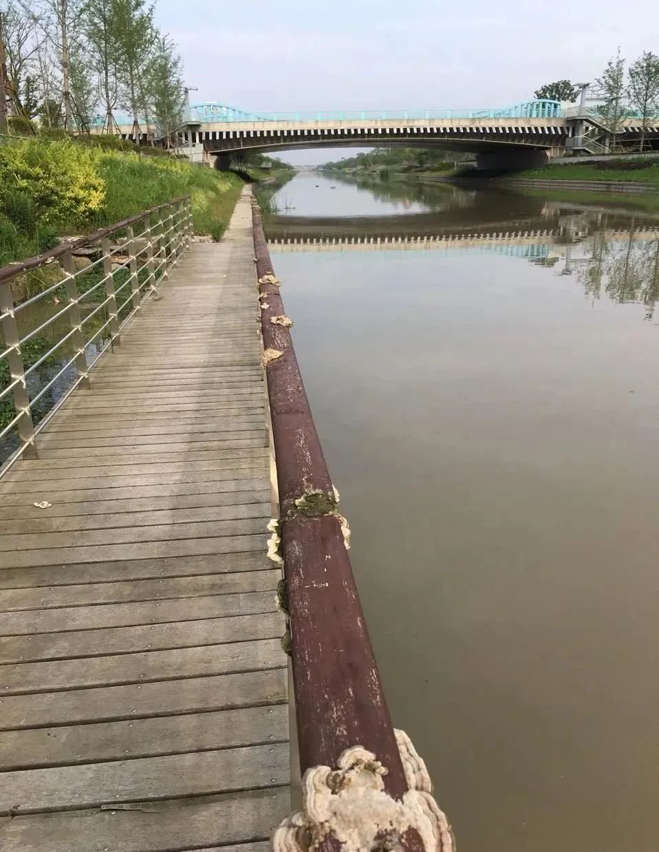 纯天然的野货视频,纯天然野货