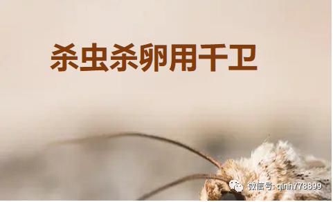 千卫®-S：专利技术，虫卵双杀，药效持久，连续使用无抗性，安全又环保