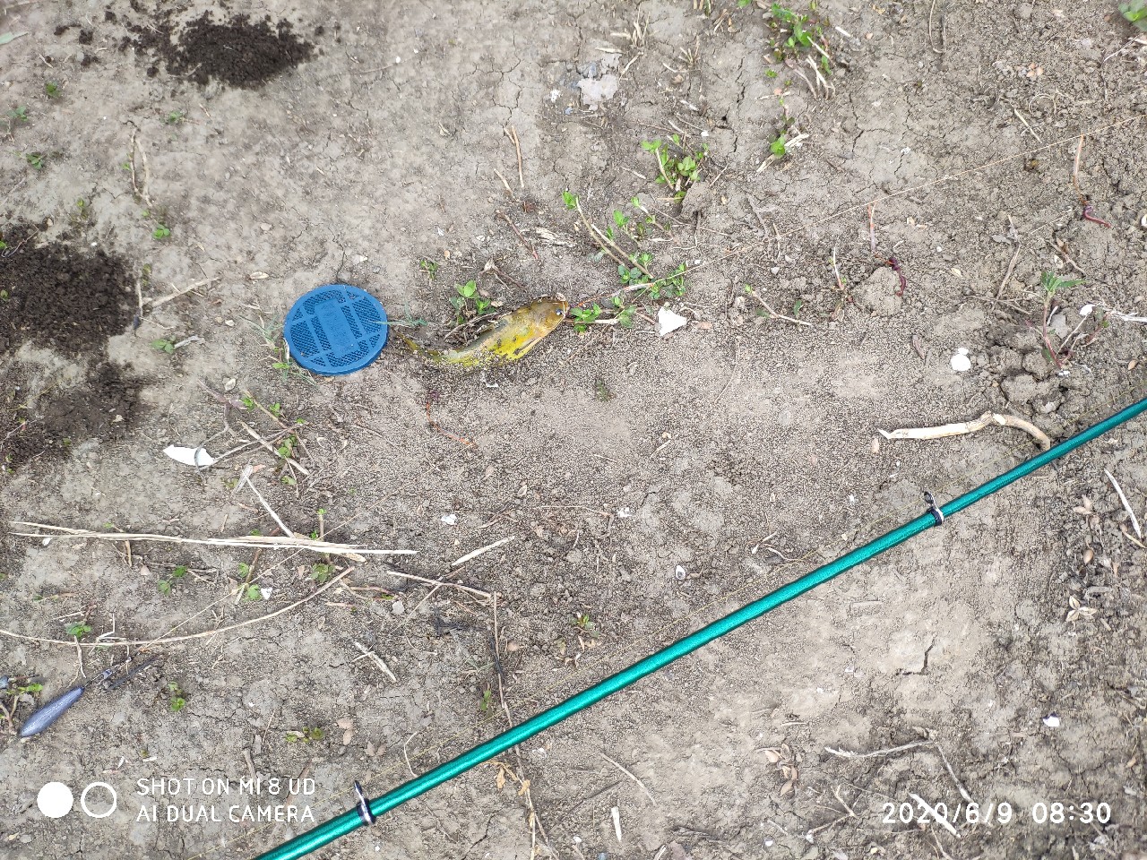 小矶竿导环怎么修复,小矶竿手把节修复