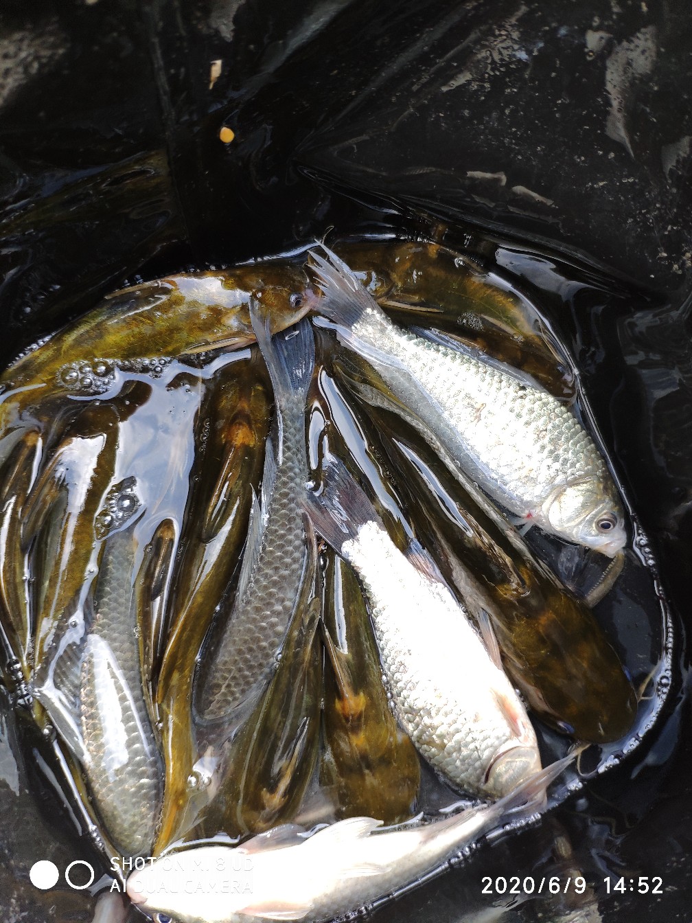 小矶竿导环怎么修复,小矶竿手把节修复