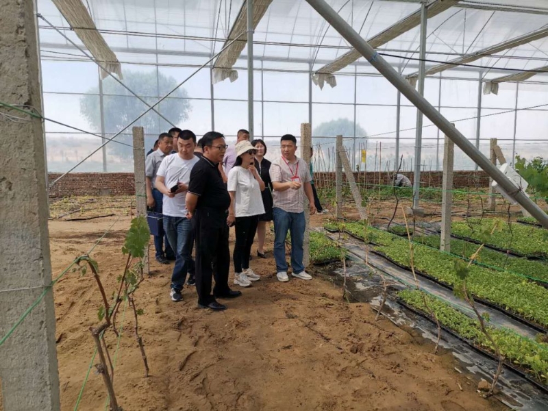 全旗脱贫攻坚工作总结,鄂托克前旗德善