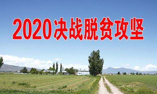 送医送药送温暖,送医送药送温暖义诊