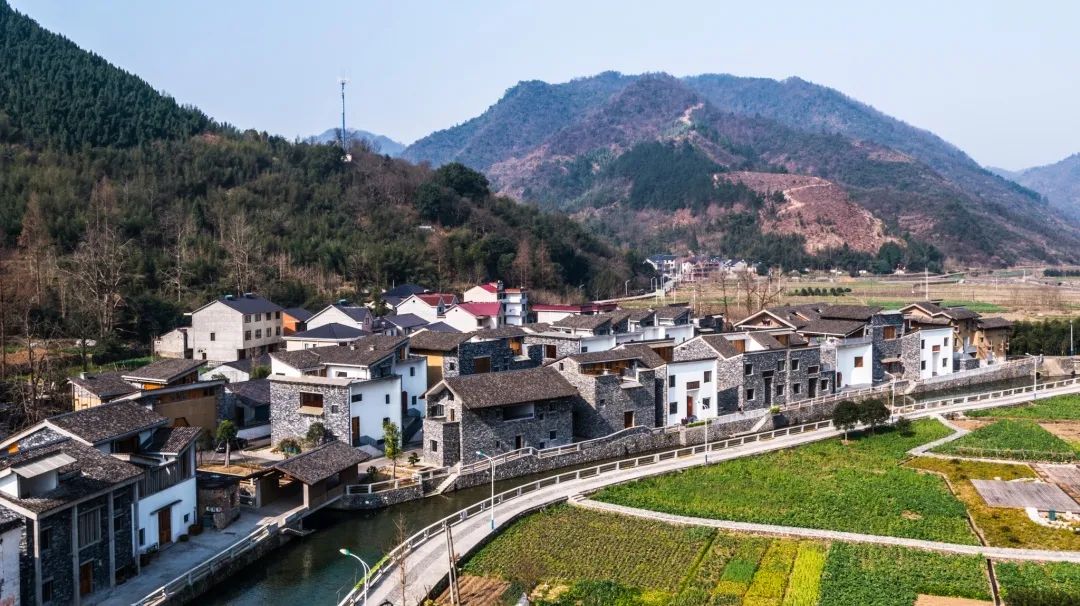 周末去哪儿⑫|王牌推荐，出行不愁！富阳山乡鲜得太“上头”啦！