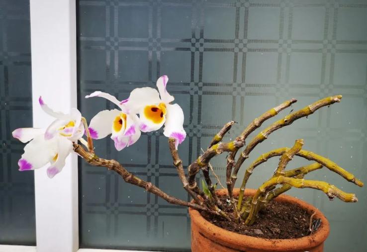 美文阅读人生如诗读后感,悦读美文领悟生活