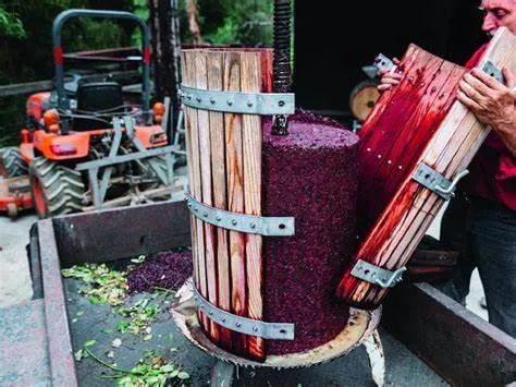 懂酒入|尝了OchotaBarrels，自然酒真香