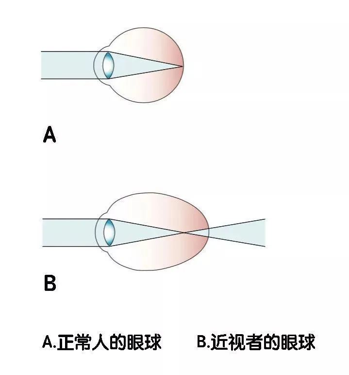 这次大姨妈，我专门计算了一下自己总共流了多少血|荐