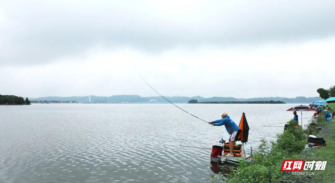 望江亭比赛,望江亭争霸赛
