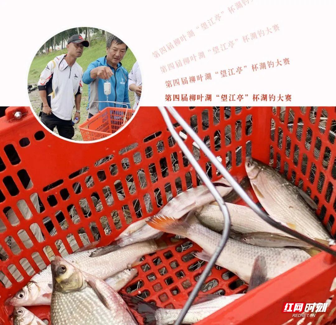 望江亭比赛,望江亭争霸赛