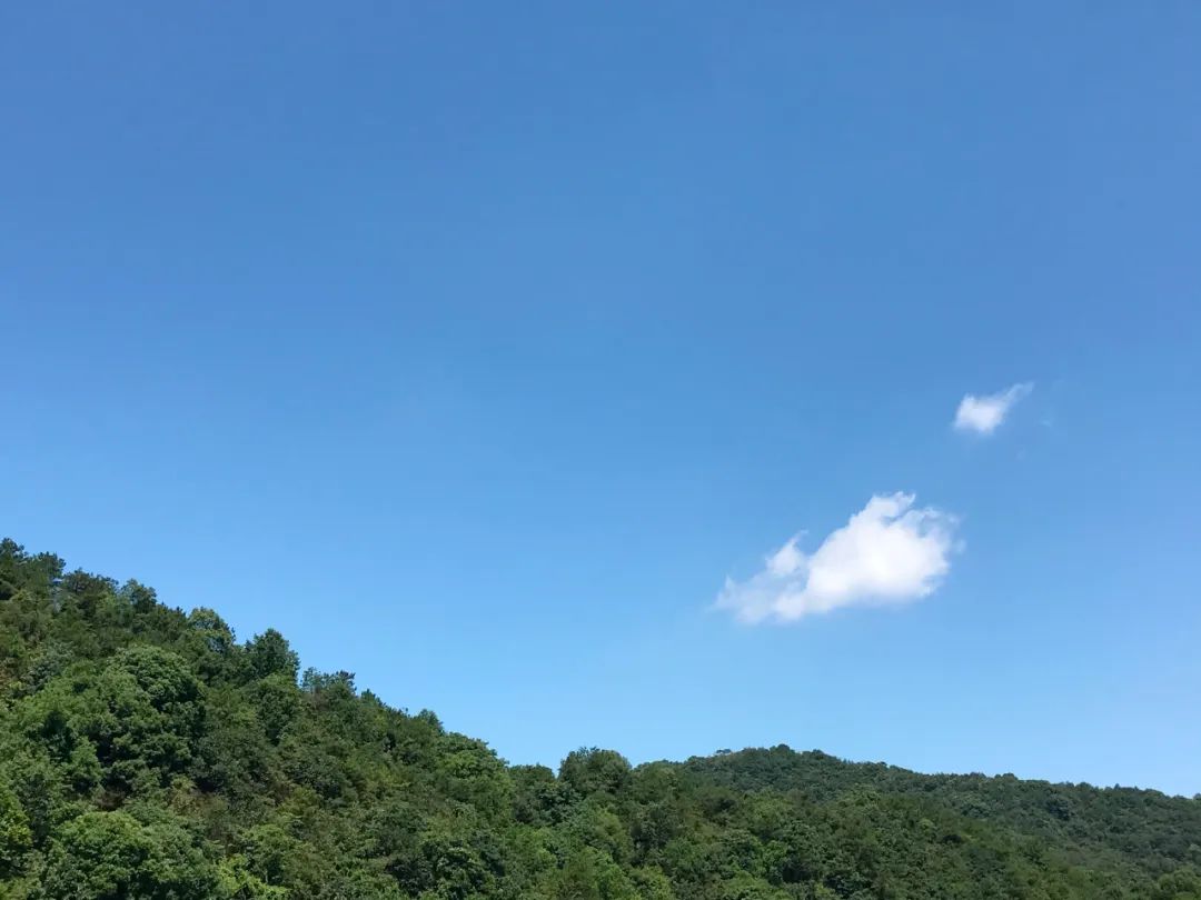 刷屏了！这样的开福蓝，请给我来一打