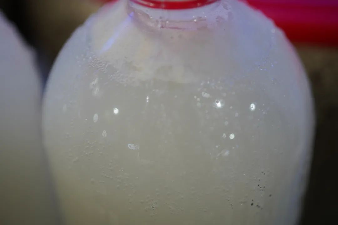 30年老店卤鸡,30年老字号温州八珍烤鸡