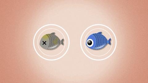 10起冻品检出新冠鸡翅,冻鸡翅包装检出新冠阳性