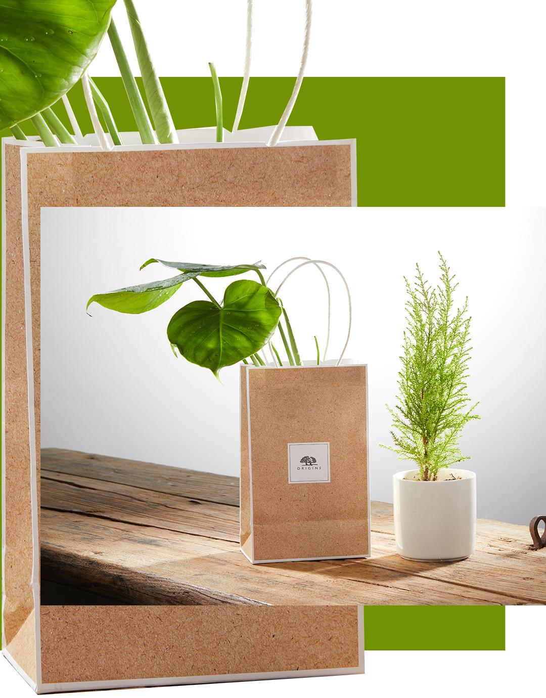 拥有风靡全网的“网绿”才是向往的生活