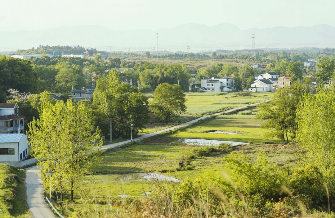 湖北最美环湖绿道徒步,十大最美绿道骑行