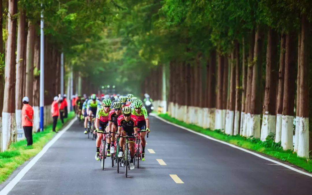 湖北最美环湖绿道徒步,十大最美绿道骑行