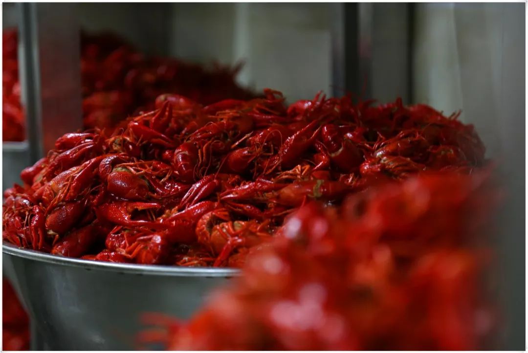 南航的精神,有一种优秀叫努力