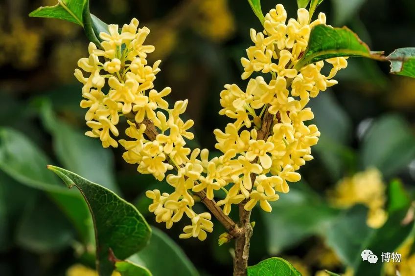 不孕不育到底是福报还是恶报,不孕不育的人后果