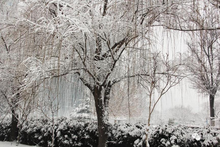 不孕不育到底是福报还是恶报,不孕不育的人后果