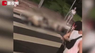 女子街头跟两名外国人热舞,几名女子街头跳舞