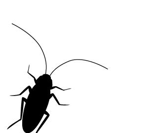 蟑螂满屋爬,蟑螂往身上爬好几只