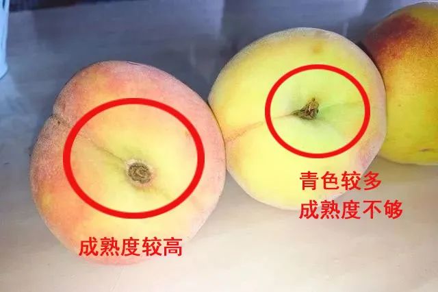 桃子怎样插牙签,桃子上供有啥寓意