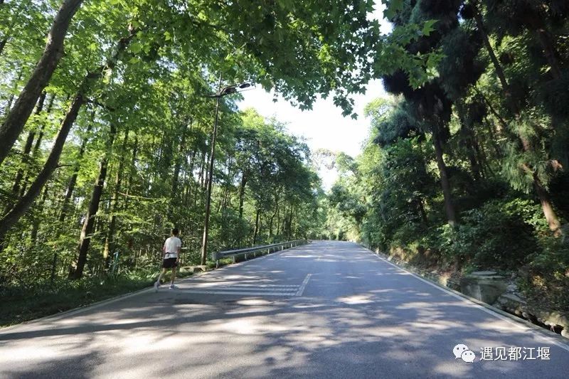 端午假期去哪儿玩都江堰,都江堰景区端午人多不多