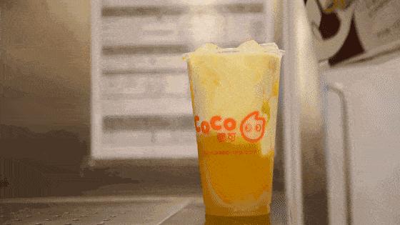 乘风破浪来新疆了吗,乘风破浪来景迈山